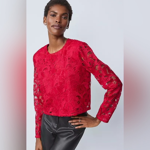 Ann Taylor Tops - Ann Taylor Petite Lace Crew Neck Blouse in Jewel Red